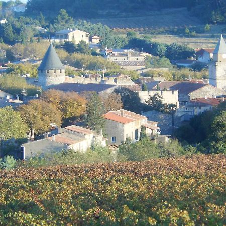 Gite Le Musee Villeneuve-Minervois Екстериор снимка